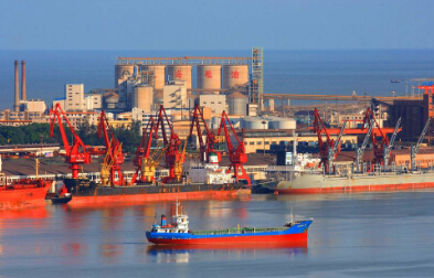 貨代需盡快辦理NVOCC資質(zhì)手續(xù)，否則后果自行承擔(dān)