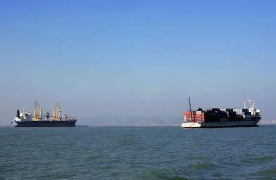 寧波國際貨代的主要職責是什么？