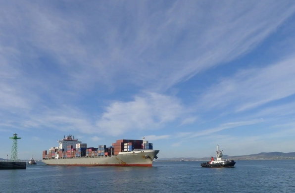 國(guó)內(nèi)海運(yùn)公司在全球化時(shí)代具有重要的地位和作用，面臨著挑戰(zhàn)和機(jī)遇